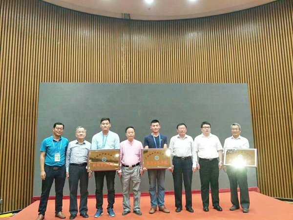 4-p&eacute;s-eucalipto-peeling-line02.jpg autom&aacute;tico