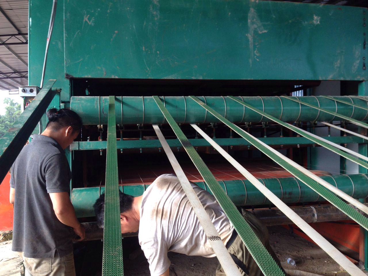 Máquina secadora de rolos folheados de madeira compensada