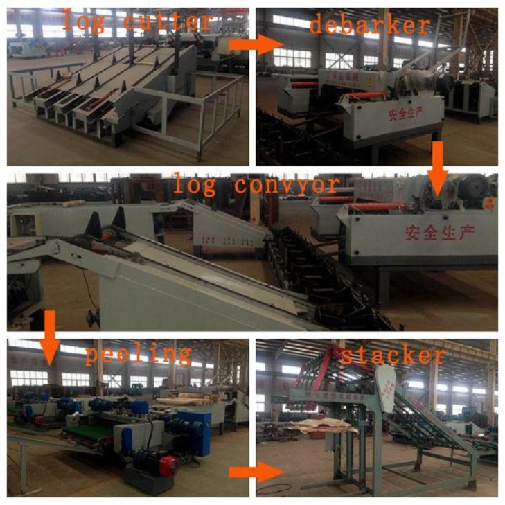 Linha Automática de Produção de Madeira Compensada Jinlun de 4 Pés