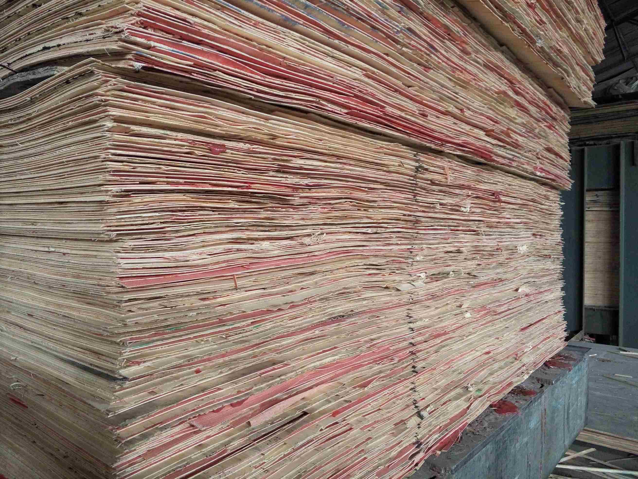 Máquina de prensagem a frio 400 T 48 pés para linha de produção de compensado