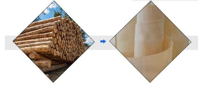 Linha de M&aacute;quinas de Contraplacado CNC para Descama&ccedil;&atilde;o de Veneer