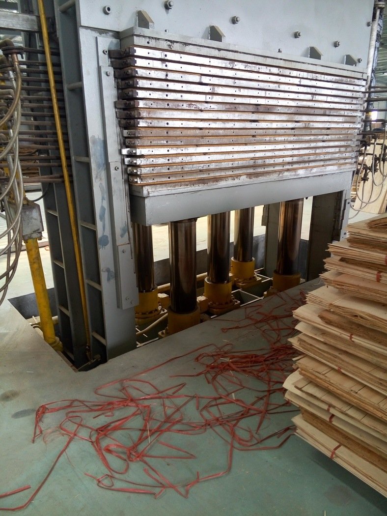 Máquina de secagem/secadora de folheados com correia de malha de aço inoxidável