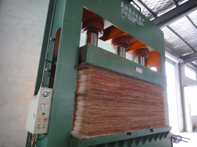 M&aacute;quina de prensagem a frio hidr&aacute;ulica autom&aacute;tica de venda quente para fabricante de madeira compensada