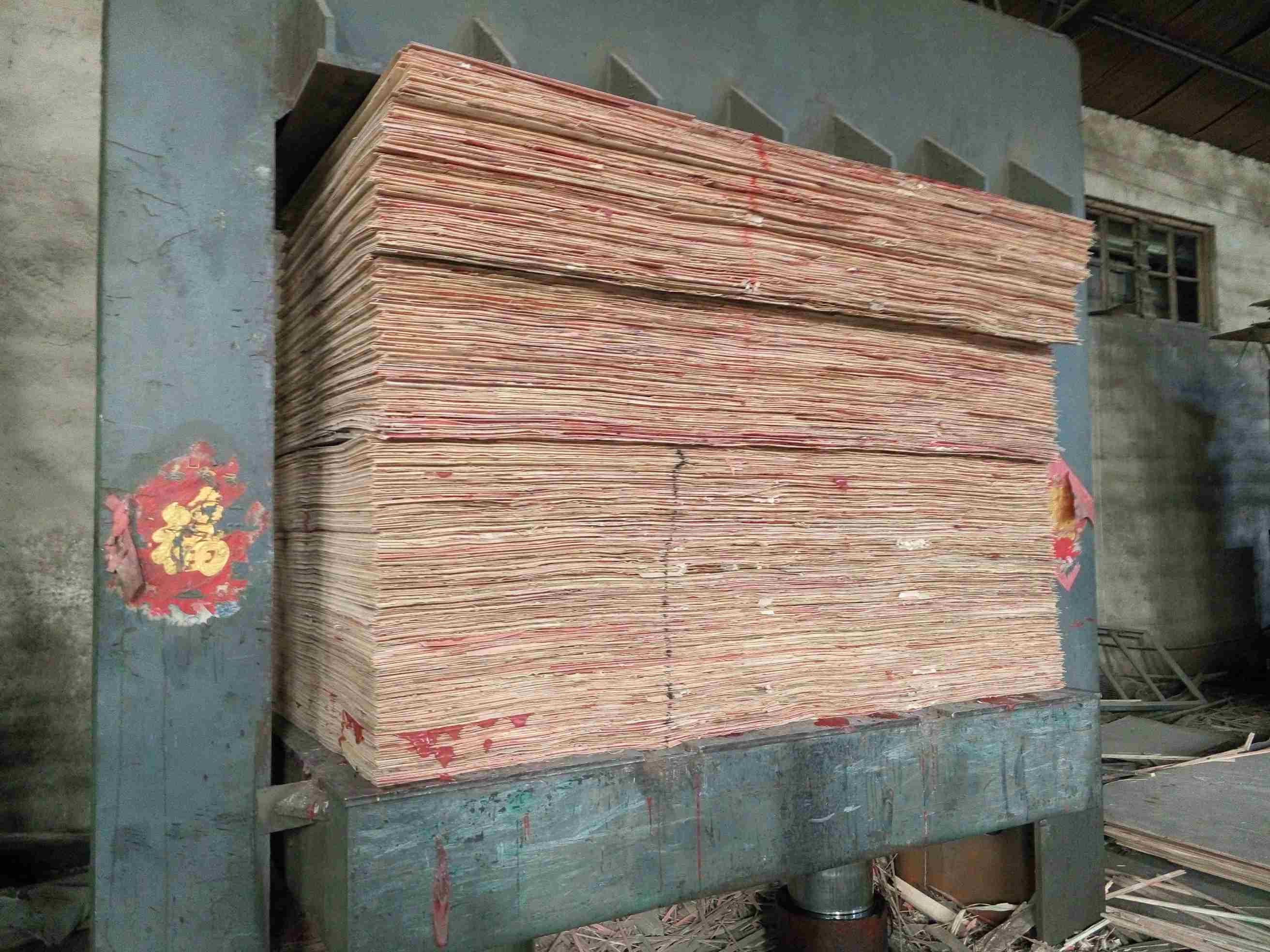 Máquina Hidráulica de Prensa a Frio para Fabricação de Placas Multicamadas da China