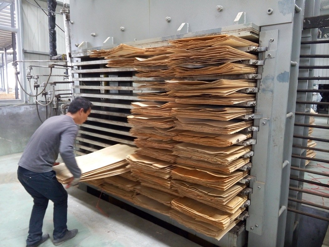 Máquina secadora de folheados de alta eficiência tipo prensagem a quente 