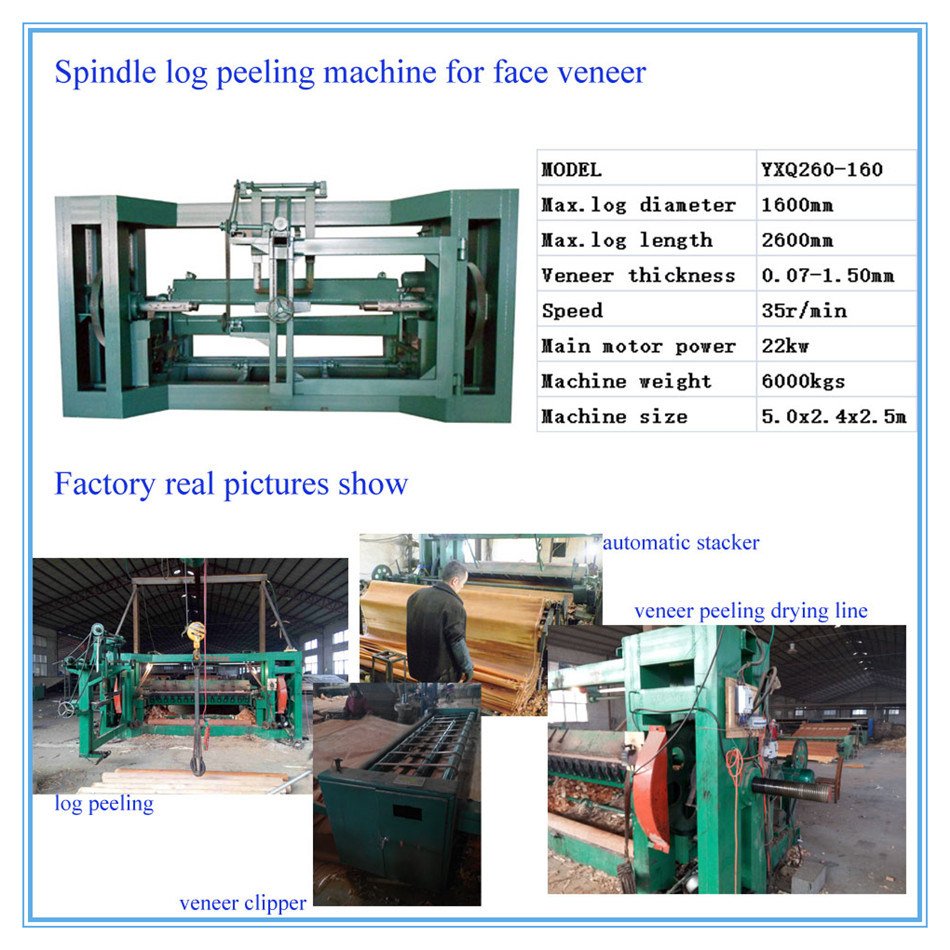 O torno de peeling facial Okoume de 8 pés para o Gabão