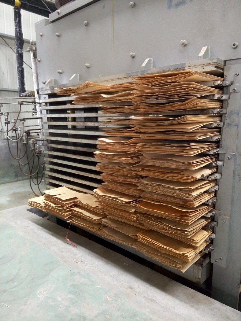 A máquina secadora de folheado de madeira de ar quente de 8 pés