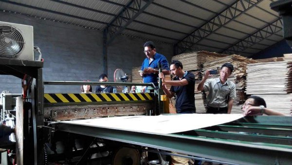 Compositor de folheado de madeira compensada/juntador de dedo de folheado para venda